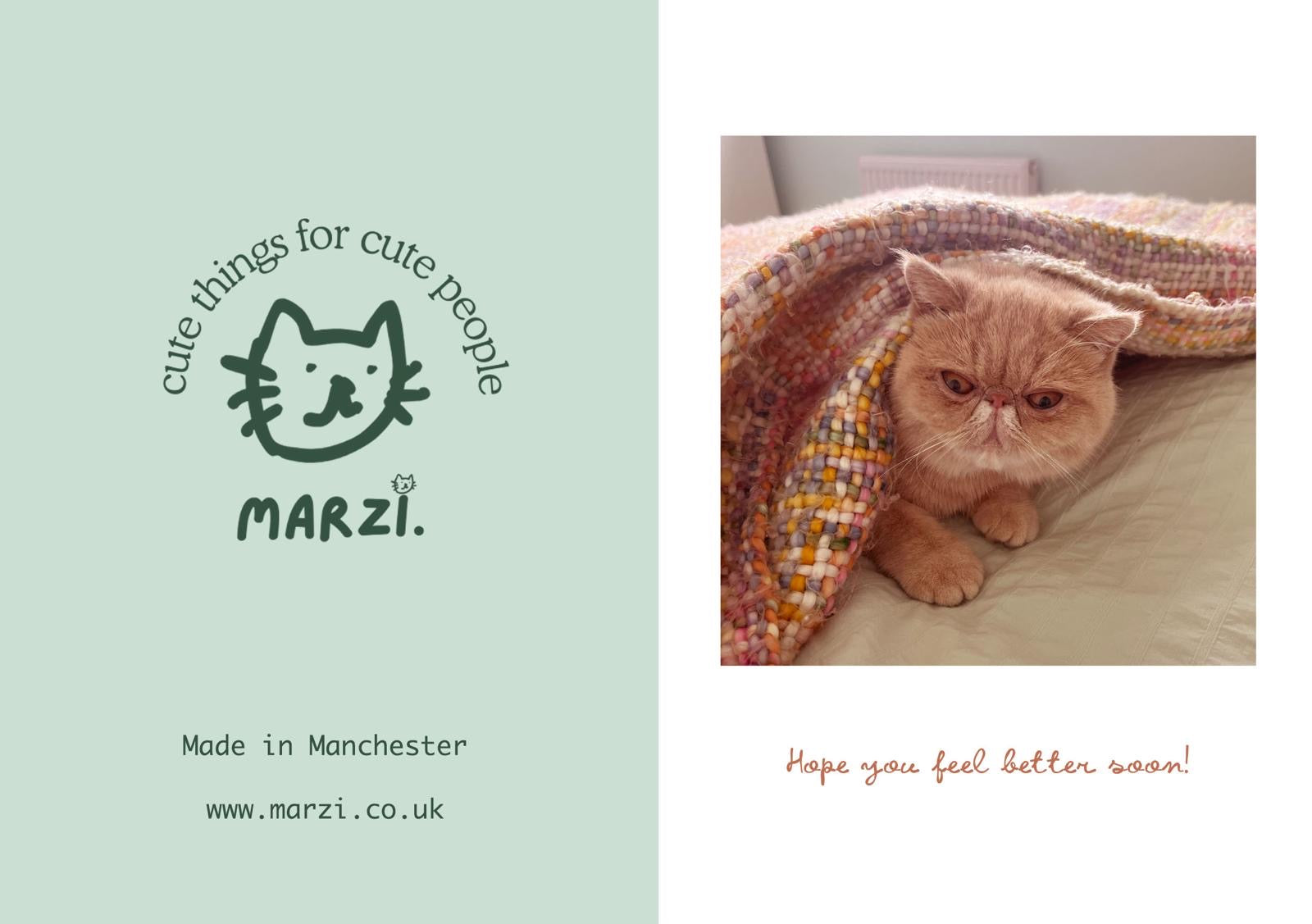 Hope You Feel Better Soon Cat Greeting Card