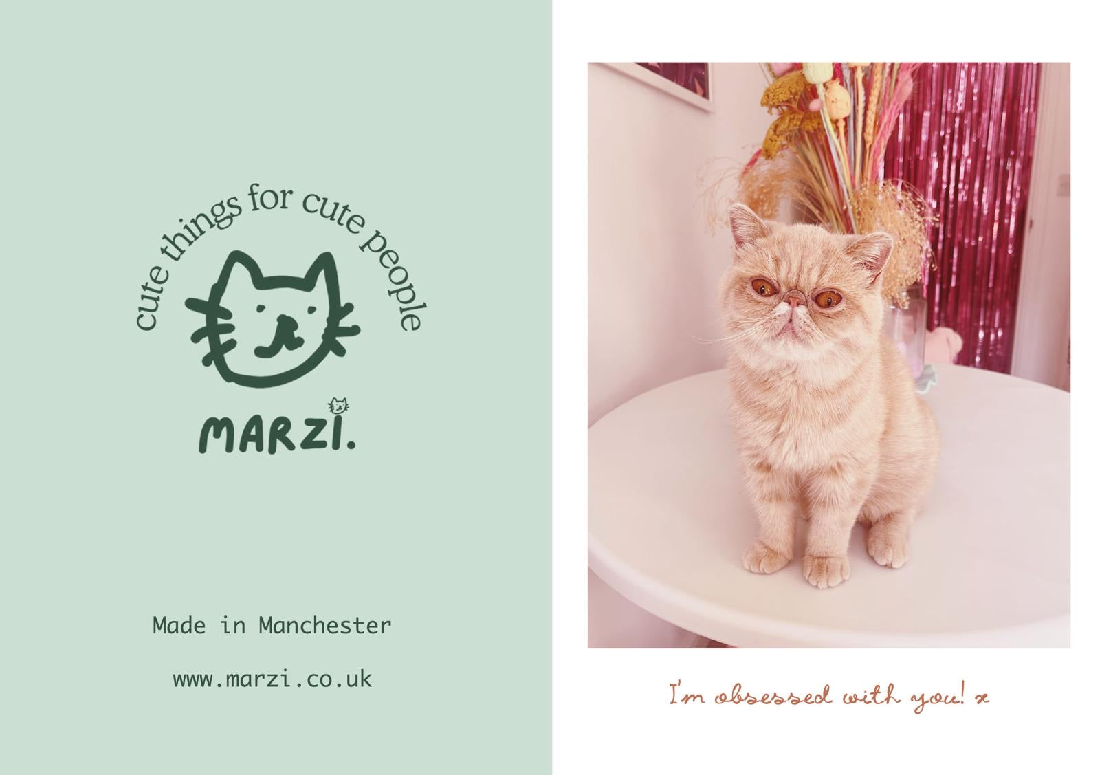 I Am Obsessed With You Cat Greeting Card