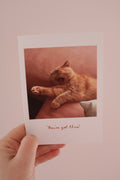 You've Got This Cat Greeting Card