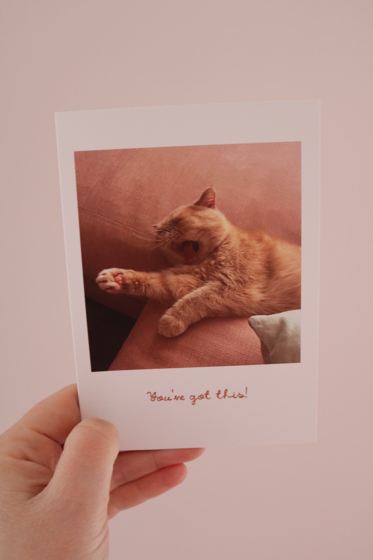You've Got This Cat Greeting Card