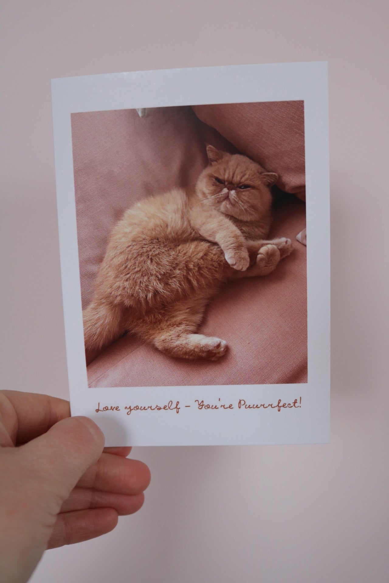 Love Yourself Cat Greeting Card